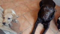 20160205_121700.jpg