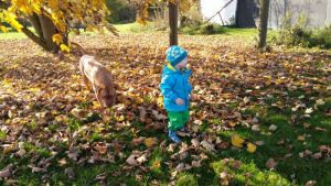Impressionen